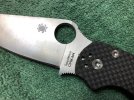 PM2 CF M4.jpg