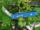 pruner.grapes2.jpg
