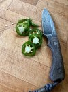 IMG_3842.jpeg