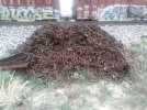 IMG_20220712_193331.jpg