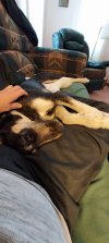 spoiled.jpg spoiled.jpg