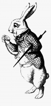 1658246899978.png