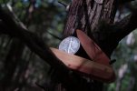 46616A35-EF8D-45BB-8D70-D9AB8D4FECEC.jpeg