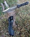Trough Raider 1.jpg