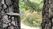YellowSlimTrap 1.JPG