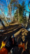 PSX_20220118_165408.jpg