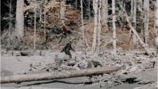 BigFoot.jpg