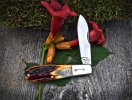2022-tuna-norman-amber-01loBF.jpg