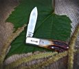 2022-tuna-norman-amber-02loBF.jpg