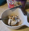 icecream.moosetracks.jpeg