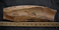 DSC_0124.jpg