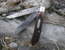 Trapper-10-12 012.jpg