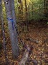 101_8652.jpg