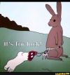 1658592532537.png