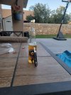 20220723_192831.jpg