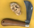 USA pruner 1.jpg