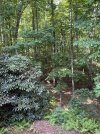 thumbnail_IMG_1106.jpg