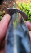 20220723_160118.jpg 20220723_160118.jpg