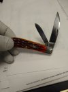 Swayback chestnut CV open.jpg
