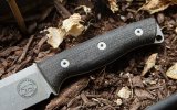 ebay_705.jpg ebay_705.jpg