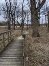 IMG_20200415_162225.jpg