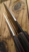 ESEE-4-6 Sharp Spines-720Wide.jpg