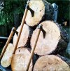 Hawk Throws Wood Rounds-720Wide.JPG