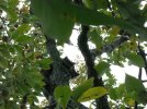 DSCN0067.jpg