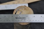 DSC_0114.jpg