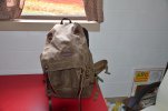 DSC_1902.jpg