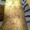 hatchet3.jpg