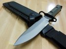zt3.jpg