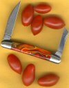 Tomato 62 B.jpg