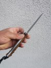 Agor6.jpg