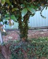 IMG_20220718_150245.jpg