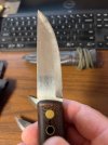 Skookum 2.jpg Skookum 2.jpg