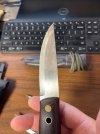 Skookum 3.jpg