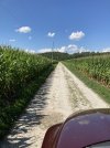 Ralph'sRoad.JPG
