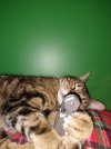 IMG_20220807_101720847.jpg