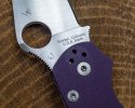 PM2 From Earth-0000132.JPG