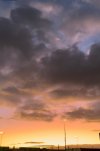 EC79557C-FCC5-4FA2-94A7-F74352DEF61E.jpeg