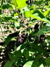 D8BD5675-ABF0-4592-ABF8-A0F5B1769908.jpeg