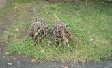 52009_Two-Bundle-of-Sticks_400.jpg
