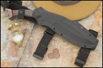SAR_Full_Sheath.jpg SAR_Full_Sheath.jpg