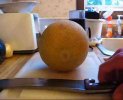 FarmcatavsMelon.jpg