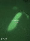 flir_20220813T174429_compress42.jpg