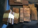 Desert Ironwood.jpg