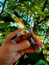 251208LP GEC NF Little Jack- Amber Jigged Bone Serial 30 of 50 Produced_Light Use Carbon Spots...jpg