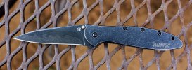 Kershaw Leek 1660CBBW .jpg