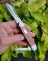 042299-Schatt Morgan by Queen DFC Keystone Series-Harness Jack Utility Knife  (1).jpg
